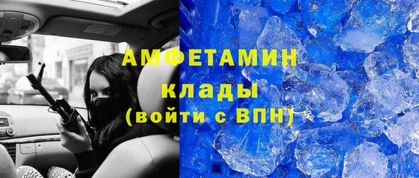 гашик Аркадак